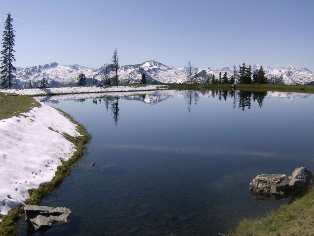 Gaestehaus Gratz - Inklusive Eintritt In Die Alpentherme Dorfgastein Zewnętrze zdjęcie